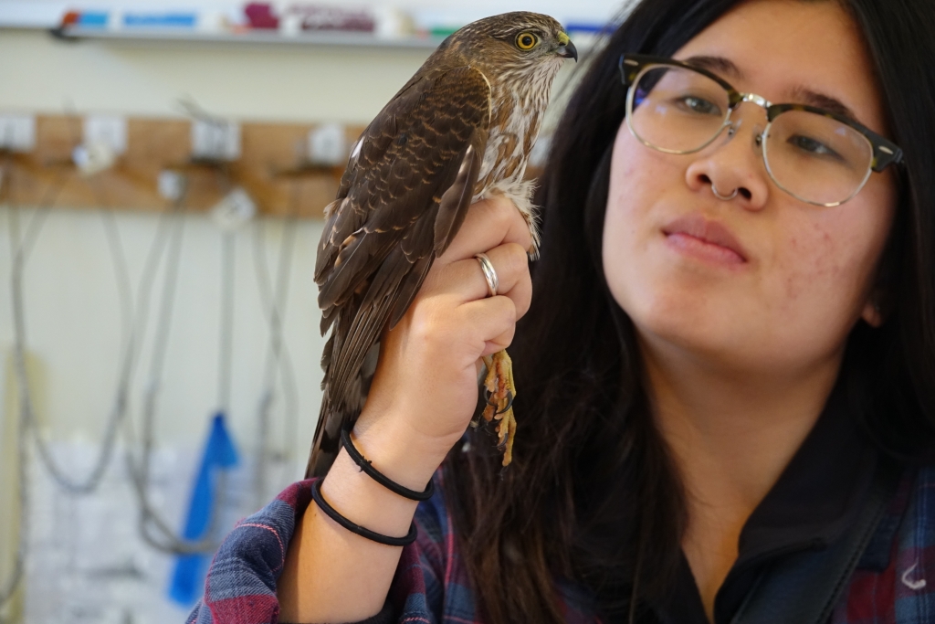 Point Blue Conservation Science: Monthly Banding Summary, March 2019 ...