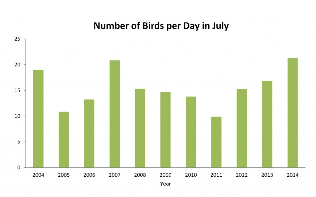 This graph demonstrates the number of birds caught at the Palomarin field station each July from 2004 to 2014. As indicated, we had a relatively high capture rate this past July, averaging just over 21 birds per banding day or 18 birds per 100 net hours (a more standardized way to compare years as it takes into account especially windy years when nets had to be closed earlier in the banding day; when we plotted birds per 100 net hours over the past decade, the pattern was the same). 